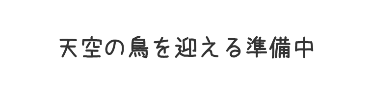 天空の鳥を迎える準備中