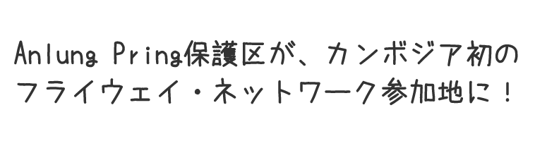 Anlung Pring保護区が、カンボジア初のフライウェイ・ネットワーク参加地に！