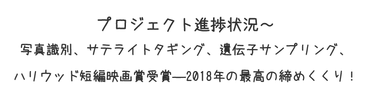 プロジェクト進捗状況～写真識別、サテライトタギング、遺伝子サンプリング、ハリウッド短編映画賞受賞―2018年の最高の締めくくり！