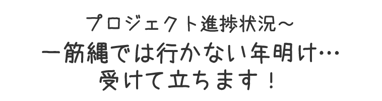 プロジェクト進捗状況～一筋縄では行かない年明け…受けて立ちます！