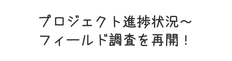 プロジェクト進捗状況～フィールド調査を再開！