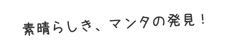 素晴らしき、マンタの発見！